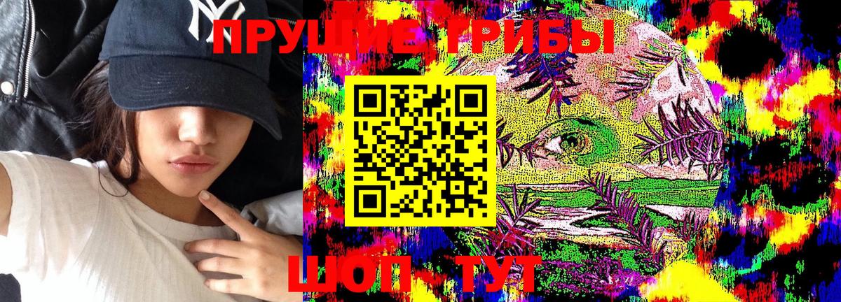 Карталы  Псилоцибиновые грибы Magic Shrooms  Вход с VPN 